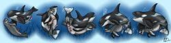 flippin-rad, anal, anal_penetration, aquatic, black_body