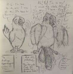 apologetic, apology, avian, avian_feet, balls