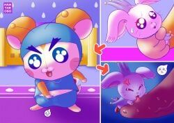 crystal_(hamtaro), prince_bo_(hamtaro), hamtaro_(series), hamtaroso, anthro