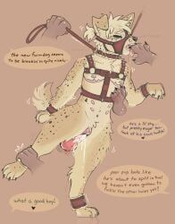 mailmutt, andromorph, anthro, australian_cattle_dog, belly_nipples