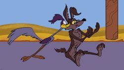 road_runner_(looney_tunes), wile_e._coyote, looney_tunes, warner_brothers, 3_toes