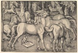 hans_baldung_grien, animal_genitalia, animal_penis, animal_pussy, ass