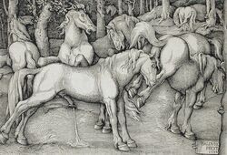 hans_baldung_grien, animal_genitalia, animal_penis, anus, ass