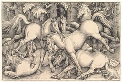 hans_baldung_grien, animal_genitalia, ass, balls, bite
