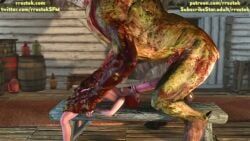 chort, triss_merigold, the_witcher_(series), the_witcher_3:_wild_hunt, rrostek