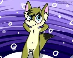 pokefound, anthro, cuntboy, cute, fennic_fox