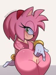 amy_rose, sonic_(series), sonic_the_hedgehog_(series), aribujitosnsfw, anus