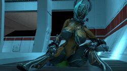 saryn_(warframe), valkyr_(warframe), wisp_(warframe), warframe, bubble_butt