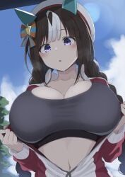hokko_tarumae_(umamusume), umamusume, umamusume_pretty_derby, 1girl, beret