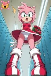 amy_rose, sega, sonic_(series), sonic_the_hedgehog_(series), sonic_x