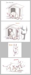 strawberrytfs, after_transformation, blush, bowl, canid