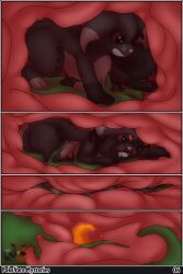 generation_8_pokemon, nickit, pokemon_(species), nintendo, pokemon