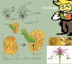 flowery, deltarune, deltarune_chapter_5, anatomy, flower
