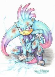 fan_character, sega, sonic_the_hedgehog_(series), anthro, areola