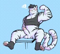 tohfu, 1boy, anthro, balls, bandage