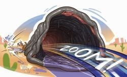 road_runner_(looney_tunes), wile_e._coyote, looney_tunes, warner_brothers, lotolotl