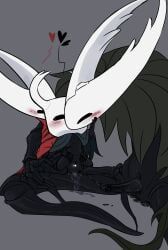 hollow_knight_(character), hornet_(hollow_knight), the_knight_(hollow_knight), vessel_(species), hollow_knight