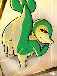generation_5_pokemon, pokemon_(species), snivy, nintendo, pokemon