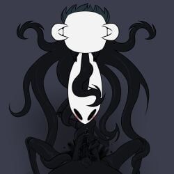hollow_knight_(character), hornet_(hollow_knight), the_knight_(hollow_knight), vessel_(species), void_(hollow_knight)