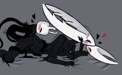 hollow_knight_(character), hornet_(hollow_knight), the_knight_(hollow_knight), vessel_(species), void_(hollow_knight)