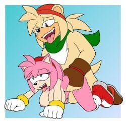 amy_rose, bark_the_polar_bear, sega, sonic_(series), sonic_the_hedgehog_(series)