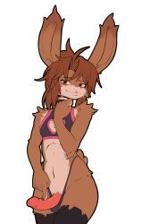 crombie, anthro, brown_body, brown_fur, crombie_(fursona)