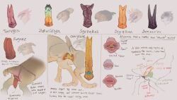accessory, animal_genitalia, anus, aroused, aroused_female