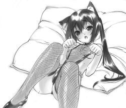 azusa_nakano_(k-on!), k-on!, senomoto_hisashi, 1girls, cat_ears