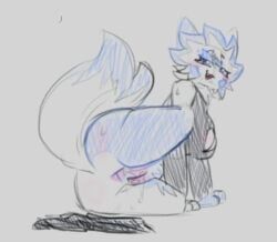 kiladosha, kit_community, kit_community_v2, blue_fur, furry