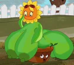 flower-pot_(pvz), potion_(pvz), solar_flare_(pvz), sunflower_(pvz), plants_vs_zombies