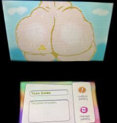 princess_zelda, toon_zelda, nintendo_3ds, the_legend_of_zelda, curvydoodles