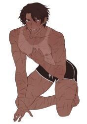 heathcliff_(limbus_company), limbus_company, project_moon, hamko, 1boy