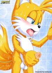 tails_the_fox, sega, sonic_(series), sonic_the_hedgehog_(series), bbmbbf