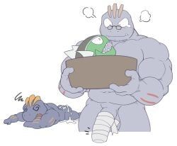 basculin, generation_1_pokemon, generation_8_pokemon, machoke, pokemon_(species)