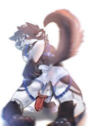 stampmats, black_body, black_fur, blue_harness, clothing