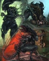 colonial_marine, female_xenomorph, xenomorph, xenomorph_queen, alien_(franchise)
