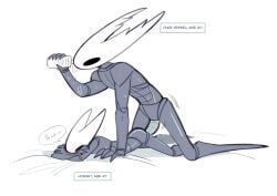 hornet_(hollow_knight), pure_vessel, pure_vessel_(hollow_knight), hollow_knight, hollow_knight_(franchise)
