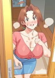 delia_ketchum_(pokemon), pokemon, pokemon_(anime), nisego, 1girls