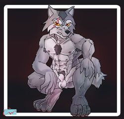 wolf_o'donnell, nintendo, star_fox, abs, animal_genitalia