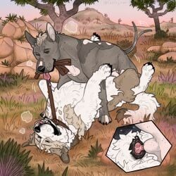 anatomically_correct, andromorph, animal_genitalia, animal_vulva, balls