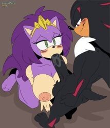 queen_aleena, queen_aleena_hedgehog, shadow_the_hedgehog, dic_entertainment, sega