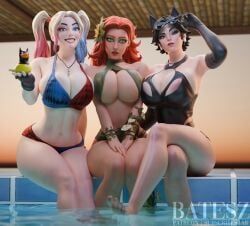 catwoman, catwoman_(fortnite), harley_quinn, harley_quinn_(fortnite), pamela_isley