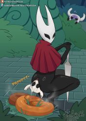 hornet_(hollow_knight), the_knight_(hollow_knight), hollow_knight:_silksong, hollow_knight_(franchise), team_cherry