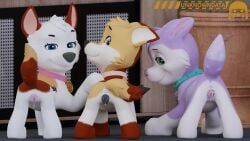 ahsoka_(littlebolty), fan_character, paw_patrol, animal_genitalia, animal_vulva