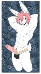 munkeesgomu, anthro, big_penis, biped, border
