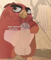 chuck_(angry_birds), red_(angry_birds), angry_birds, raburesu_, anthro