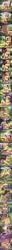fluttershy_(mlp), twilight_sparkle_(mlp), my_little_pony, dildo, dildo_in_pussy