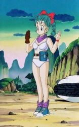 bulma_briefs, dragon_ball, 1girls, bra, female