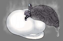 sasha_(burplecatboy), angrupan, accessory, anthro, balls