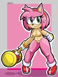 amy_rose, anoers, anthro, anthro_female, anthro_only
